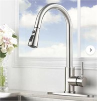 Pull Down Single Handle Kitchen Faucet (Ikebana)