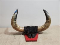 Set of Horns