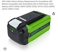 40V 6.0Ah Lithium Battery
