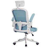 Mesh Ergonomic Office Chair, Office Computer Chair