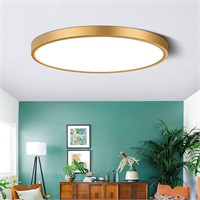 9 Inch Gold LED Flush Mount Ceiling Light,