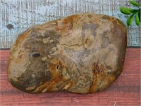 PETRIFIED WOOD ROCK STONE LAPIDARY SPECIMEN