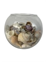 Glass Bowl Full of Pretty Sea Shells