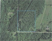 Parcel #2- 38 Acres of wooded land