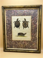 Orig. 1757 George Edwards "Mud Tortoise" Etching