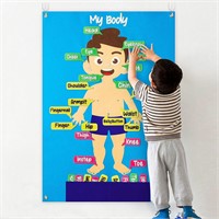 WATINC 35Pcs Body Parts Learning Set X2