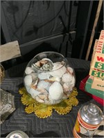 large bowl full of nice shells