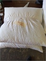 (2) Feather Square Pillows