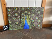 Colorful 3 Panel Triptych Peacock Wall Art