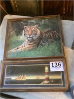 Tiger, picture and lighthouse picture