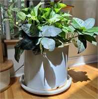 Ceramic Planter w/Real Plant