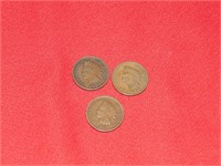 3 Indian Head Cents (1907, 1902, 1902)