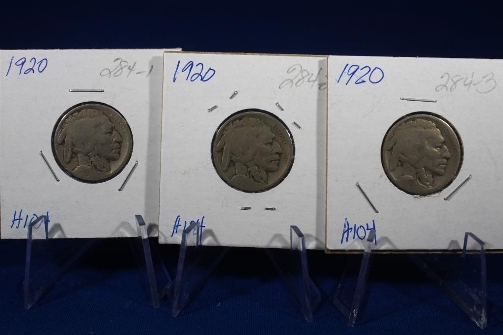 1920 Buffalo Nickels (3)