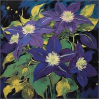 Clematis Queen of Climbers LTD EDT Van Gogh LTD