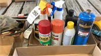 Assortment of Cleaning Supplies