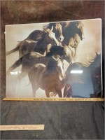22" x 28" Horse Picture Poster