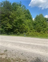 Tract 3: 1.91+- Acres • Creek Frontage