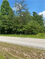 Tract 4: 1.58+- Acres • Creek Frontage