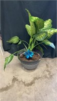 3 foot house plant in planter pot real