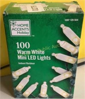 Warm White Mini LED Lights