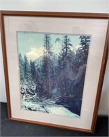 Framed wilderness picture 27.5 X 23.5 inches.