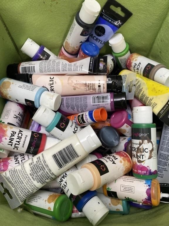 Tote Of Acrylic Paints & (6) Canvases