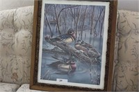 Wood Duck Print By Wanda Mumm