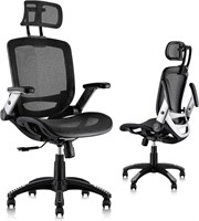 GABRYLLY Ergonomic Mesh Office Chair  Black