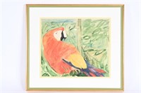 Original Doug Warren Water Color Art - Parrot