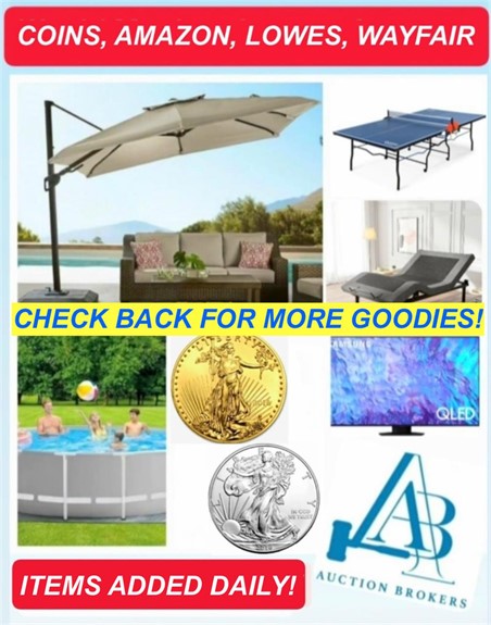 COINS, AMAZON, LOWES OVERSTOCK AUCTION! ends 6-17