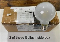 3 Frosted Daylight Light Bulbs