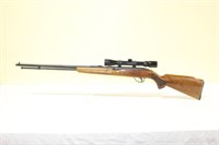 Sport King special Rifle with scope