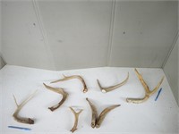 MISC. ANTLERS