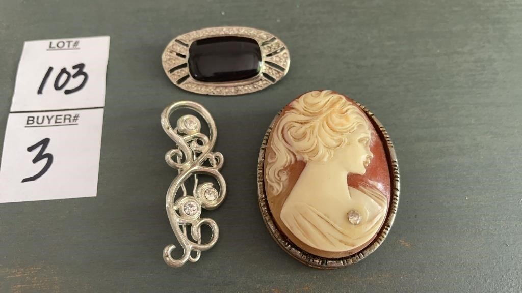 Jewelry lot - Cameo & 2 brooch/ pins