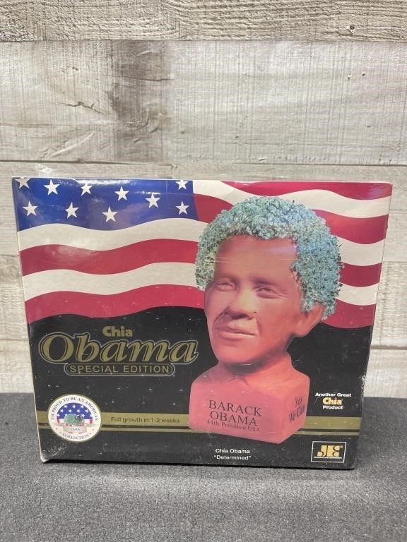 New Obama Chia Head