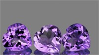 Purple Heart Amethyst 10 mm - 3 Pcs - VVS