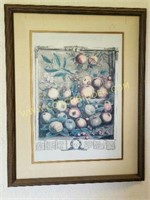 Framed May 1732 Fruit of the Month Print