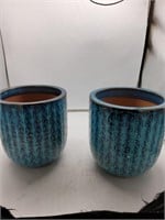 2 blue vases
