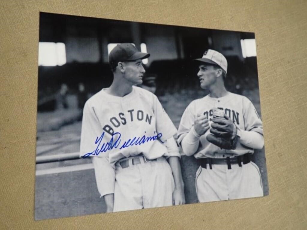 Ted Williams & Boston Red Sox Player 8"Wx10"H