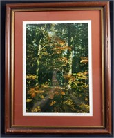 Framed Paul R Sanfield Jr Signed Photo Fall Trees