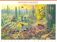 Sonoran Desert Stamp Set