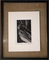 Signed Exotic Bird Photograph