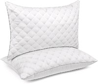 2 Pack Queen Size 20 x 30 Inches, Hypoallergenic P