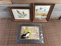 3pc Duck & Tucan Picture Lot
