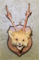 Mean Looking Fox Head Mount with Turkey Legs