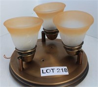 (3) Globe Frosted Light Fixture
