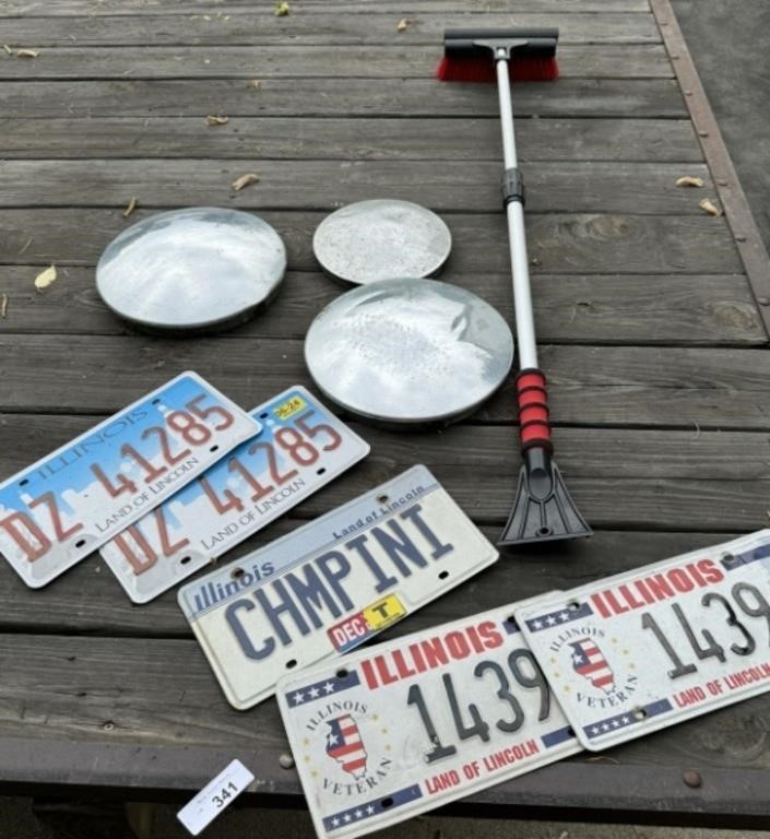 Automotive License Plates