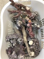 BASKET OF CORAL