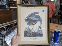 VTG Framed Great Blue Heron Print 11.5 x 15