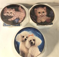 Poodles n Kittens Pet Plates Lot of 3